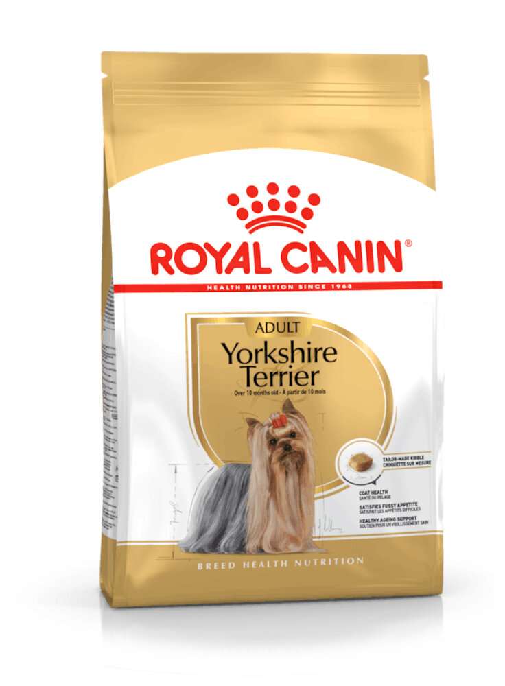 Yorkshire Terrier Adult Royal Canin