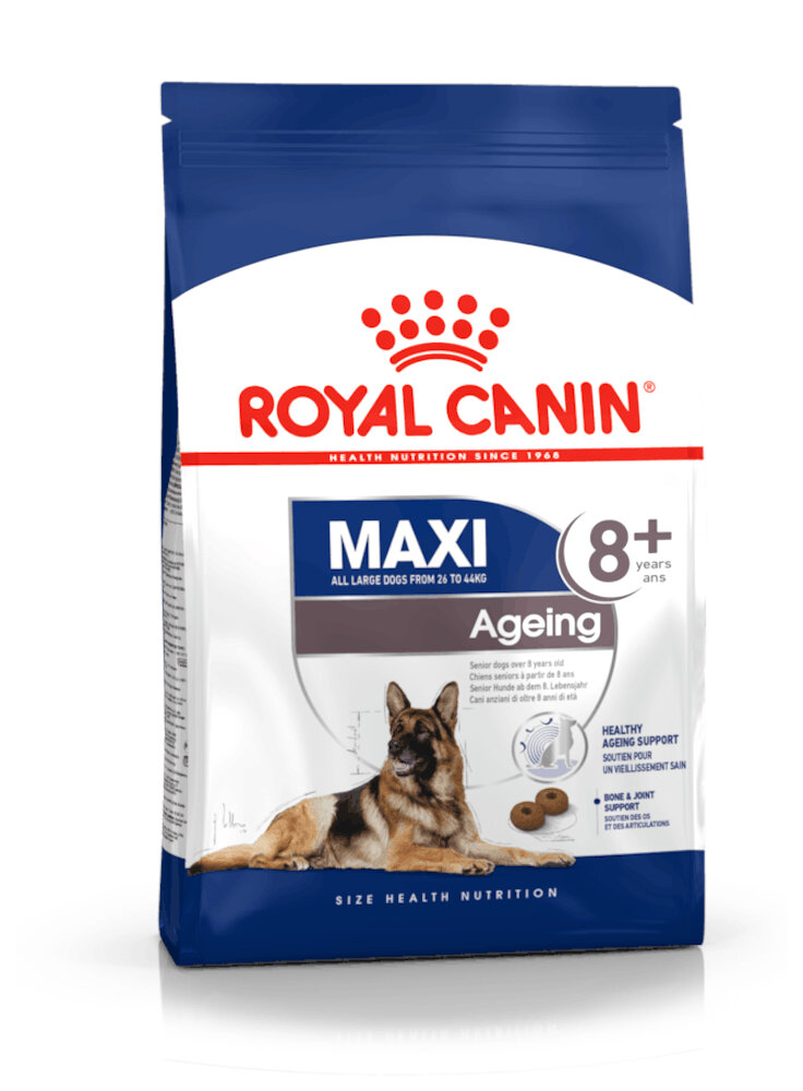 Maxi Ageing 8+ cane Royal Canin