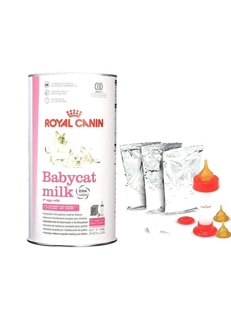 First Age Babycat Milk gatto Royal Canin 300 gr