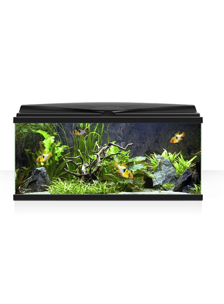 Kit acquario aqua 80 nero +mobile (80x51) faggio + allestimento cm