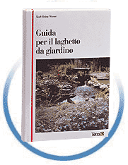 Guida per il laghetto da giardino