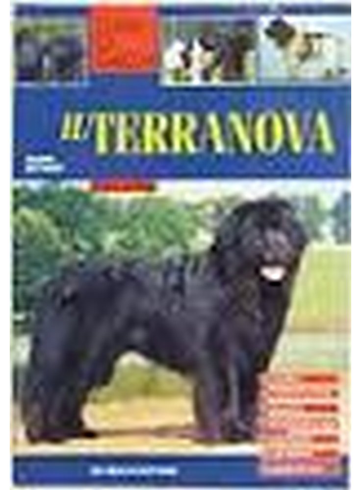 Il terranova