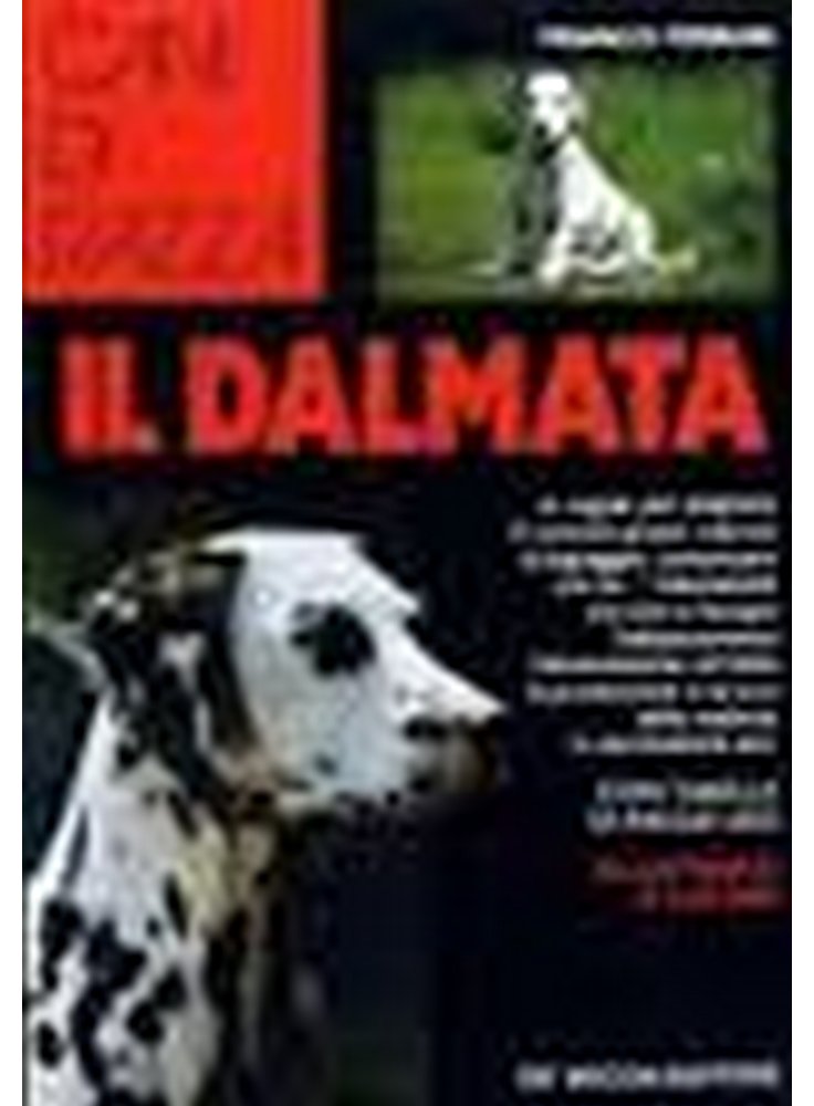 Canni di razza: il dalmata