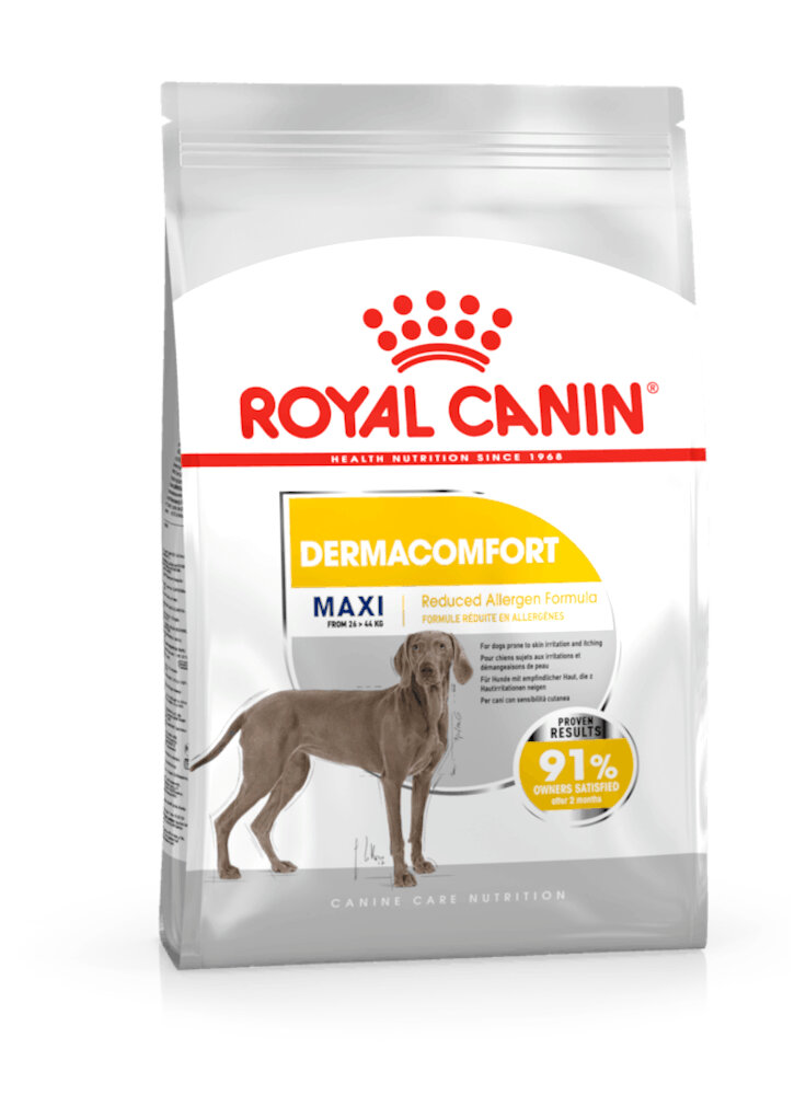 Maxi Dermacomfort cane Royal Canin