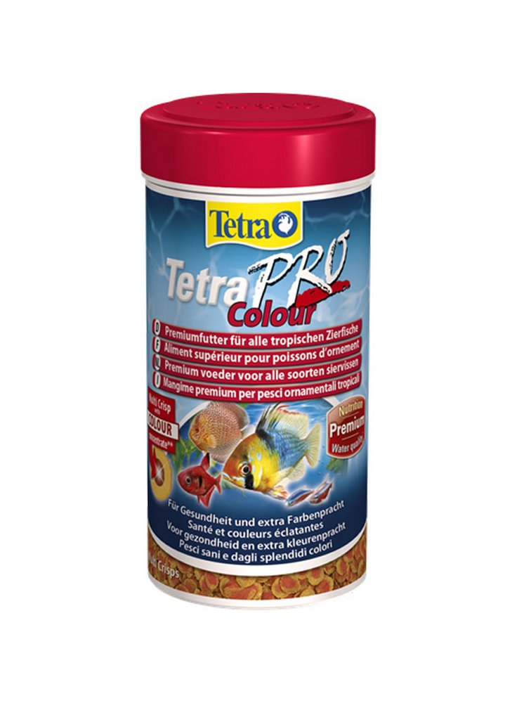 11162718_Tetra_Pro_Colour