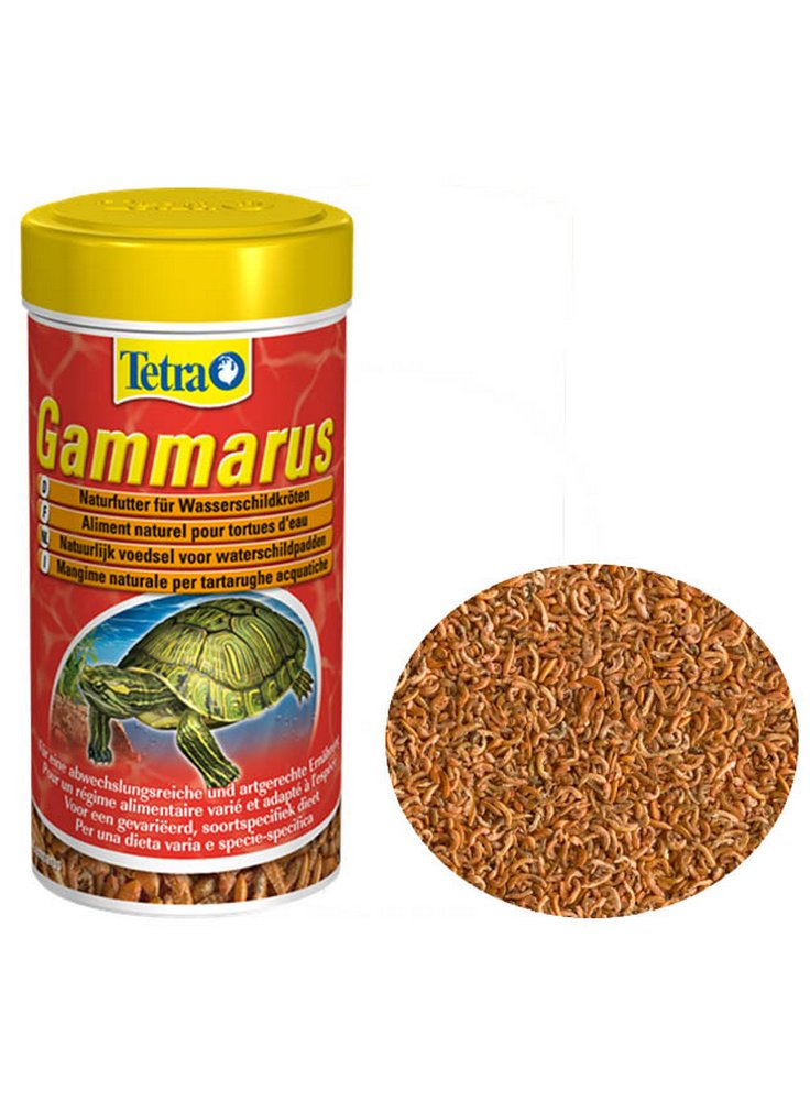 Tetra gammarus gamberetti per tartarughe