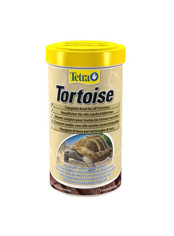 Tetra_Tortoise