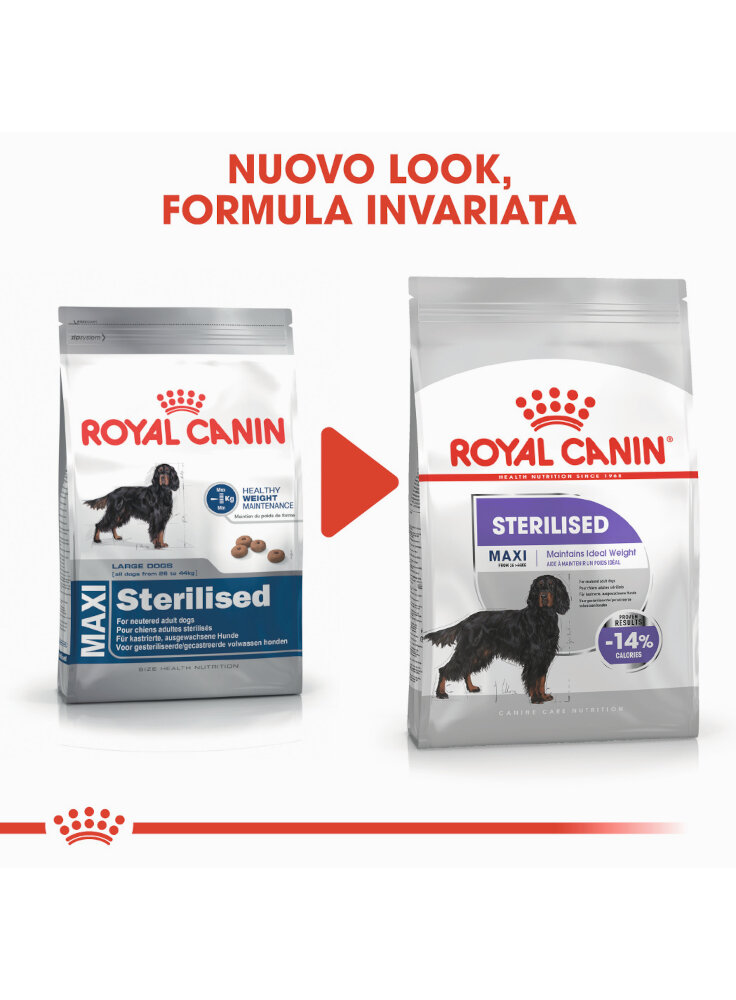 maxi-sterilised-cane-royal-canin-1