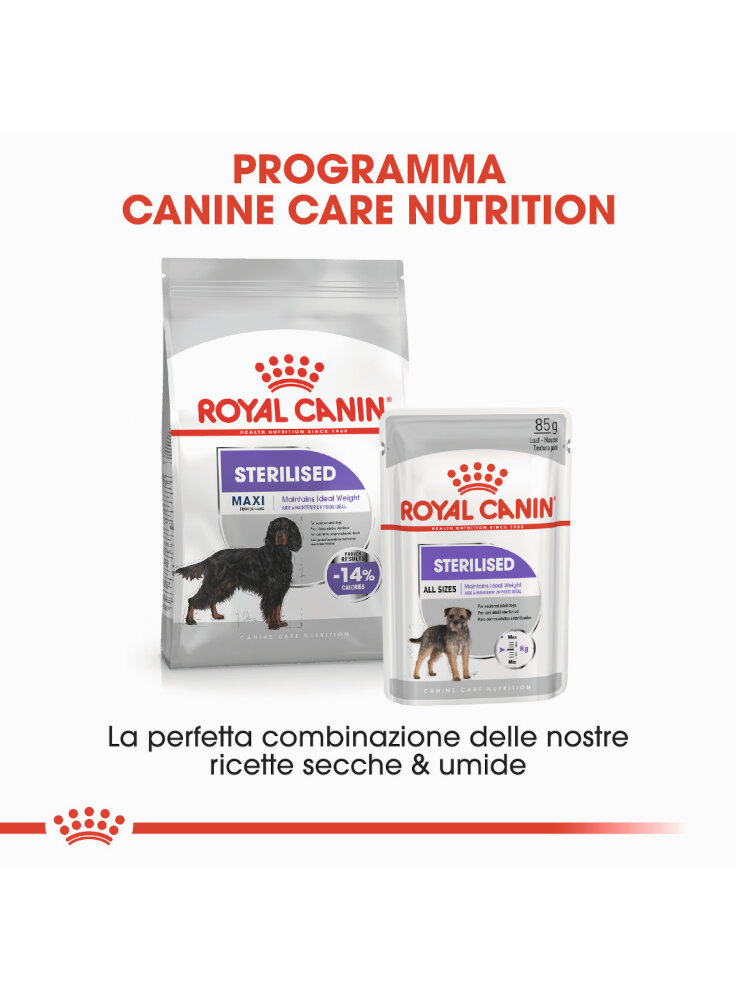 maxi-sterilised-cane-royal-canin-5