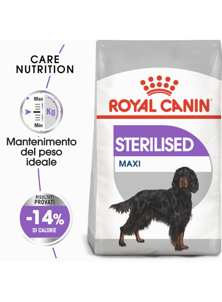 maxi-sterilised-cane-royal-canin