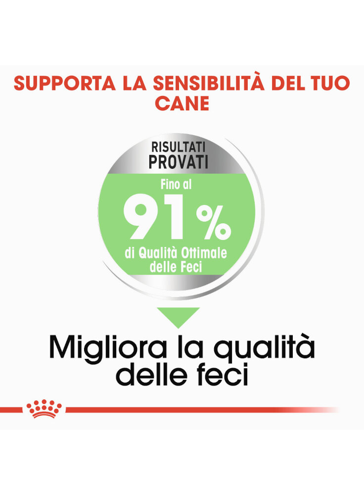 medium-digestive-care-cane-royal-canin-3