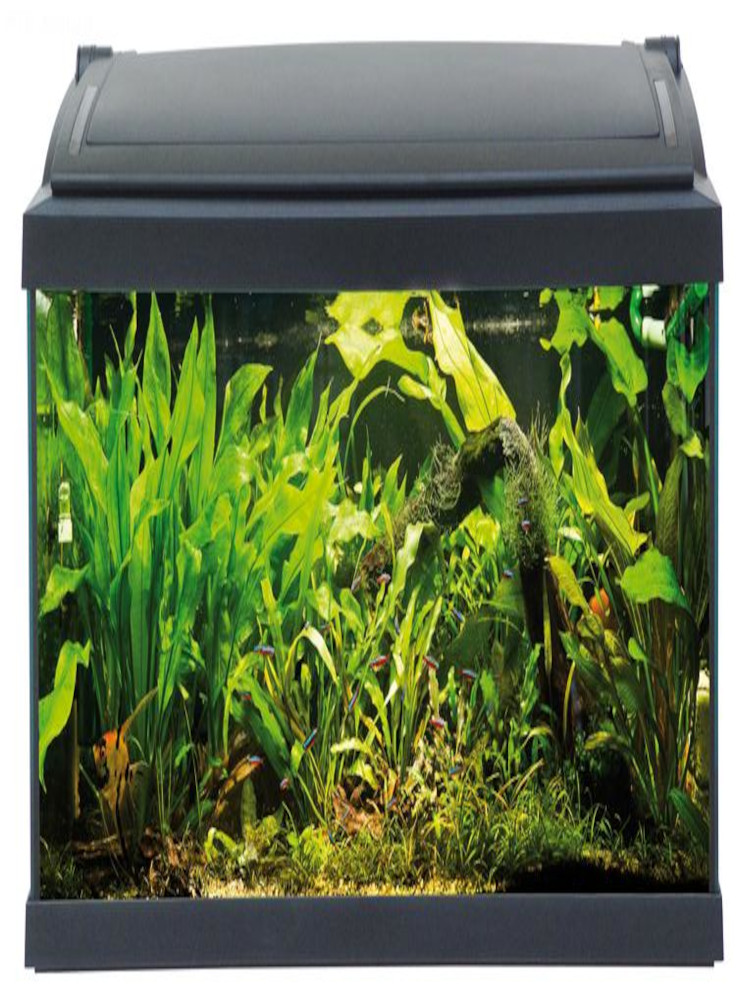 Acquario Milo 79 2x18W T8/T5 e LED 110 litri