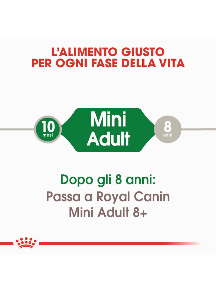 mini-adult-cane-royal-canin-1