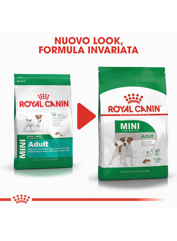 Mini Adult cane Royal Canin
