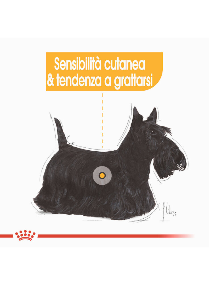 mini-dermacomfort-cani-1-10-kg-royal-canin-2