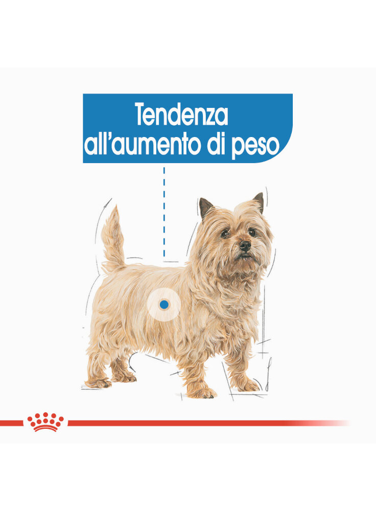 mini-light-wcare-cane-royal-canin-2