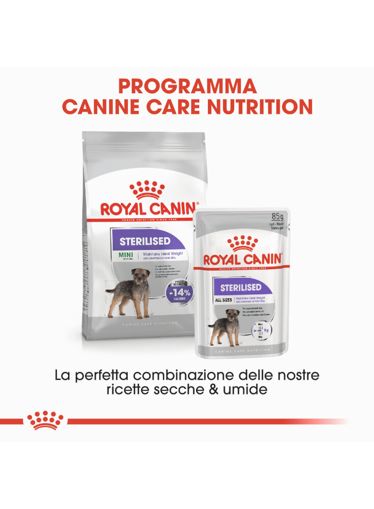 mini-sterilised-cane-royal-canin-5