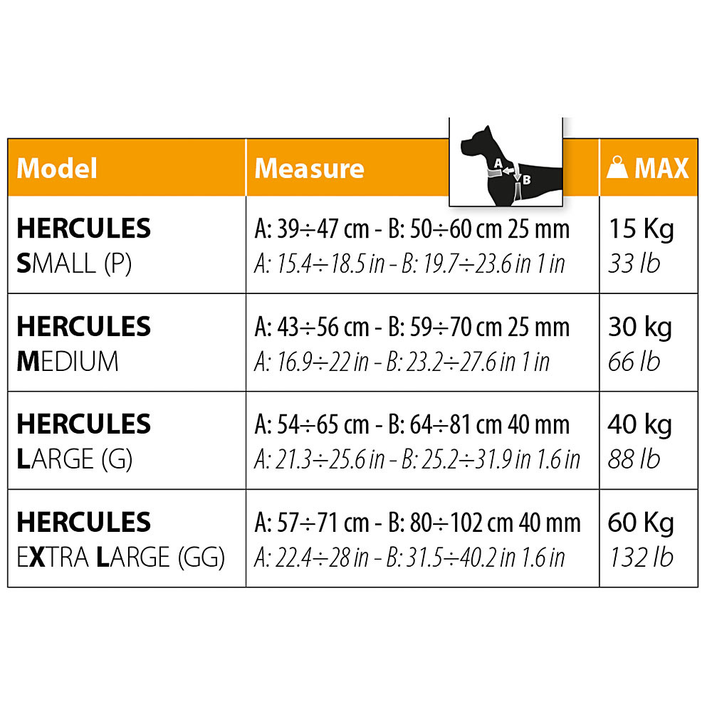 musure-hercules