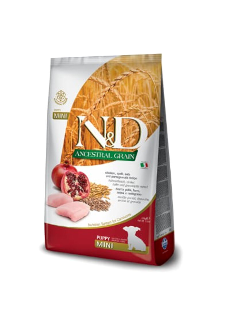 n-d-fo-ancestral-canine-grano-pollo-melograno-puppy-mini-800g