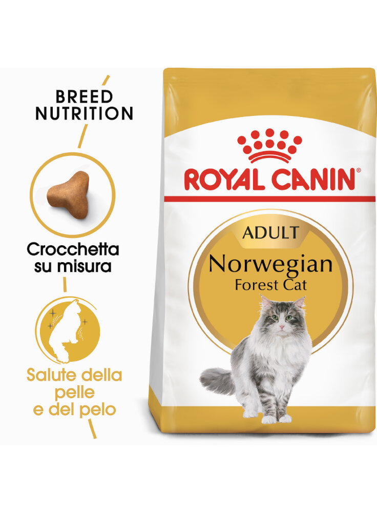 Norvegese delle foreste NORWEGIAN FOREST CAT Royal canin