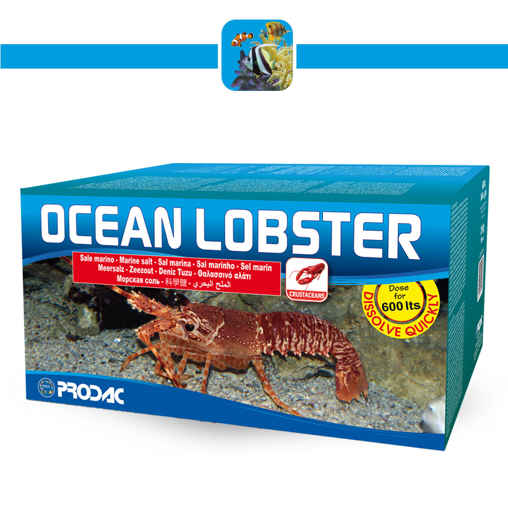 Prodac Ocea Lobster Sale Marino Perfetto per Aragoste Crostacei STER 600 lt