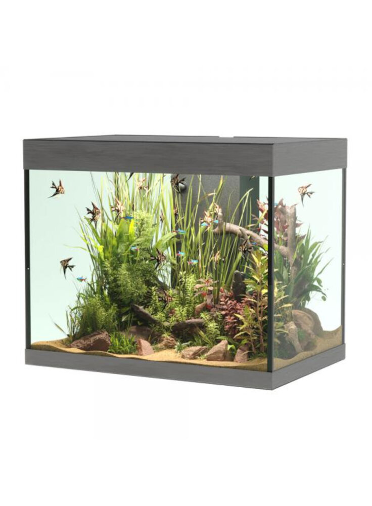 opera-aquarium-110-steel