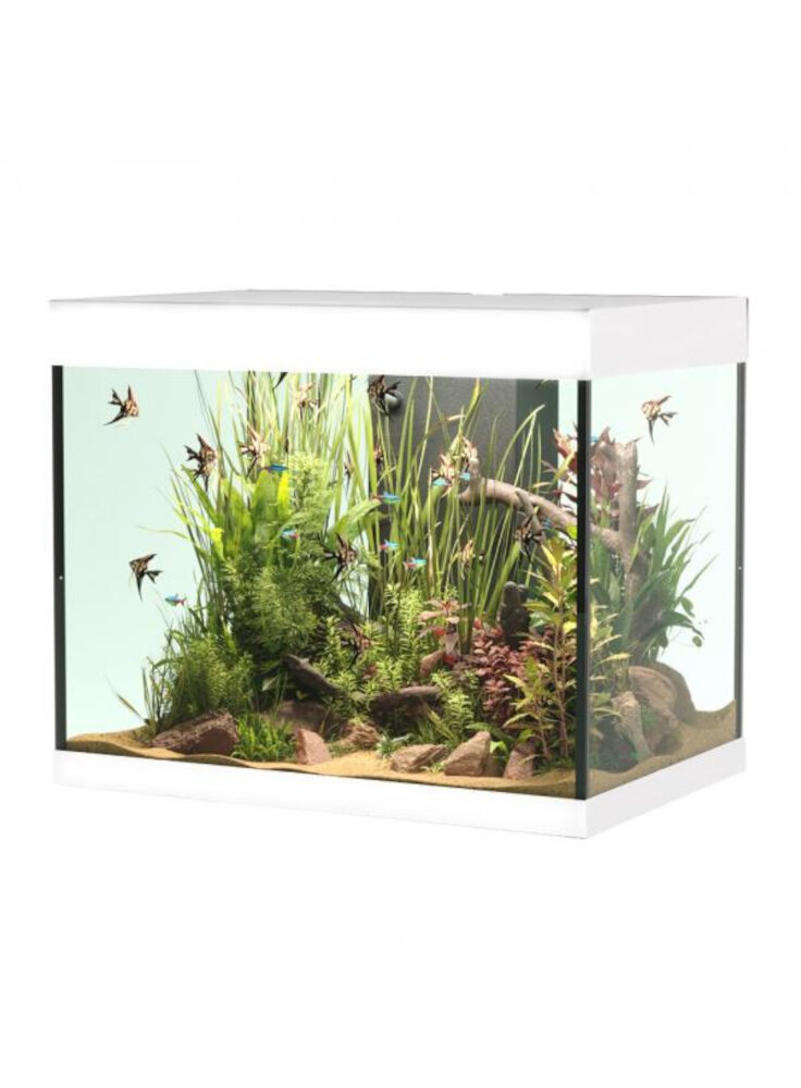 opera-aquarium-110-white