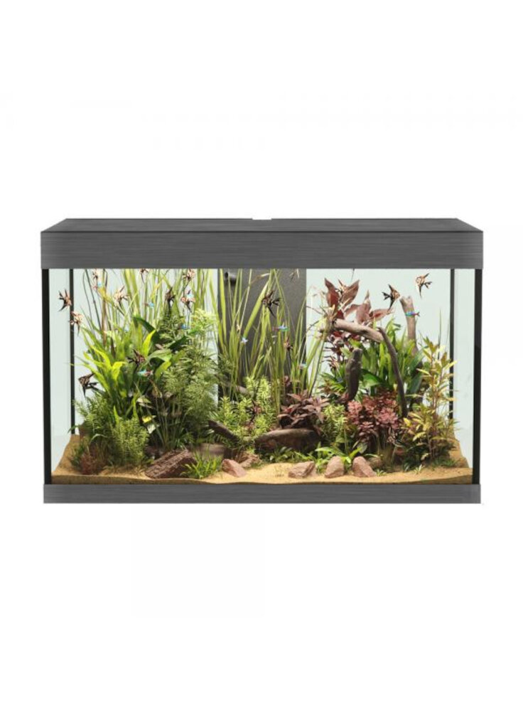 opera-aquarium-150-steel