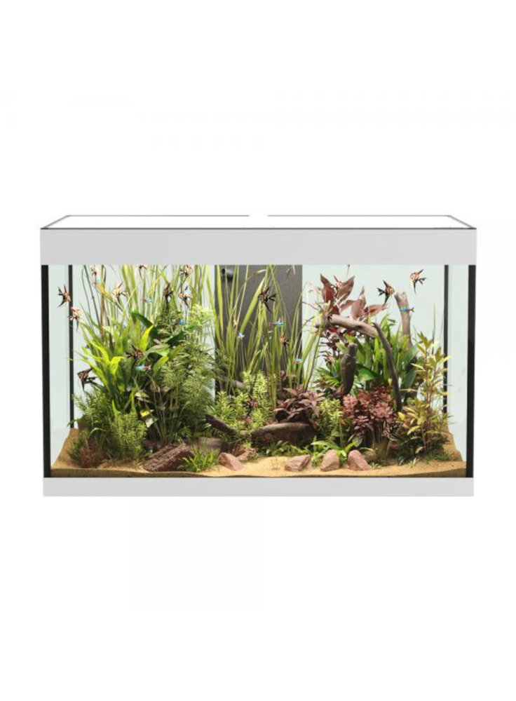 opera-aquarium-150-white