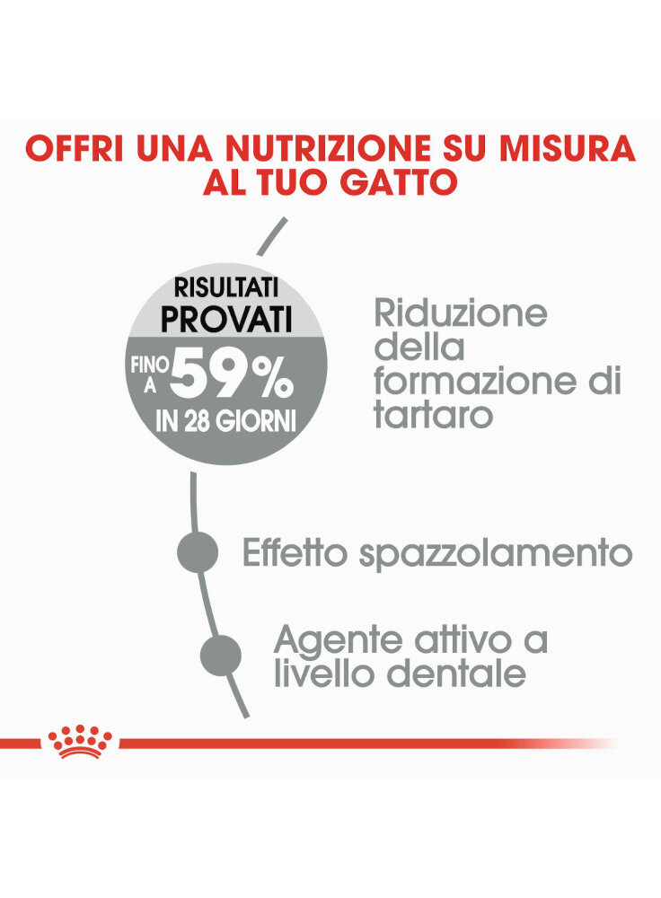 oral-care-gatto-royal-canin-2