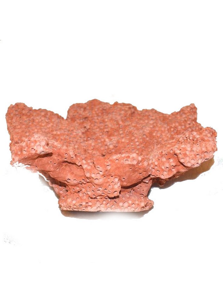 Roccia calcarea rossa Eruption