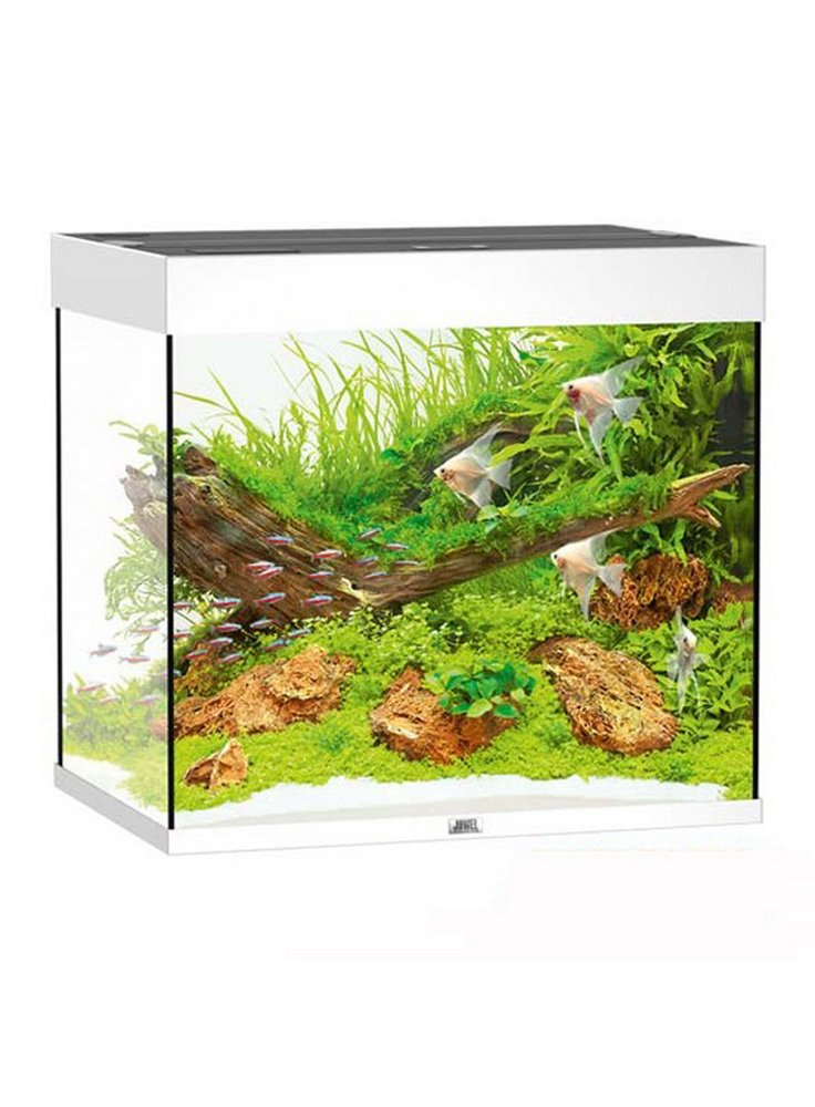 Acquario juwel lido 200 bianco con cornice alta frontale graffiata