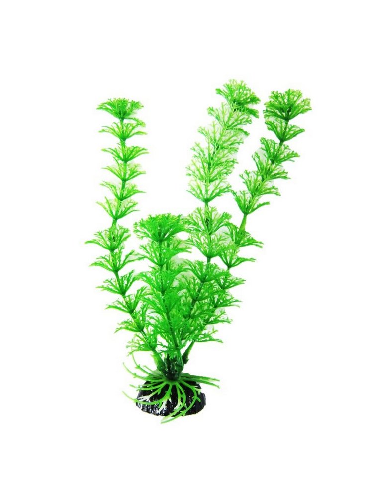 Cabomba pianta ornamentale in plastica per acquari (20cm)
