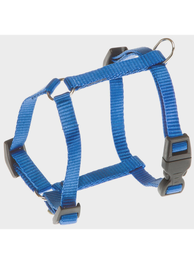 champion-blu