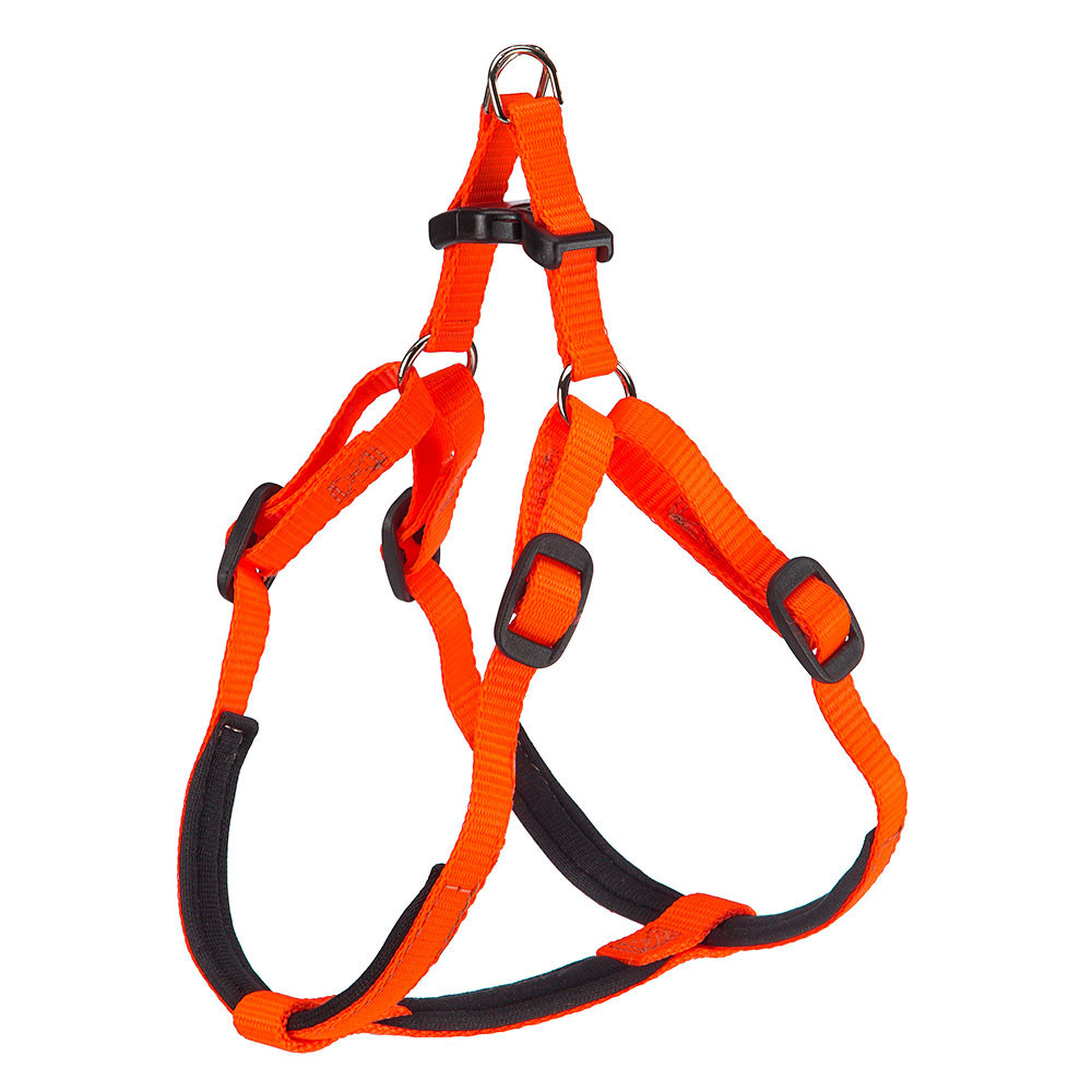 daytona%20arancio
