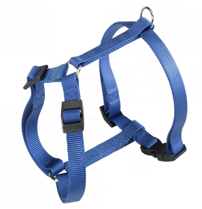 pettorina-champion-p-small-blu