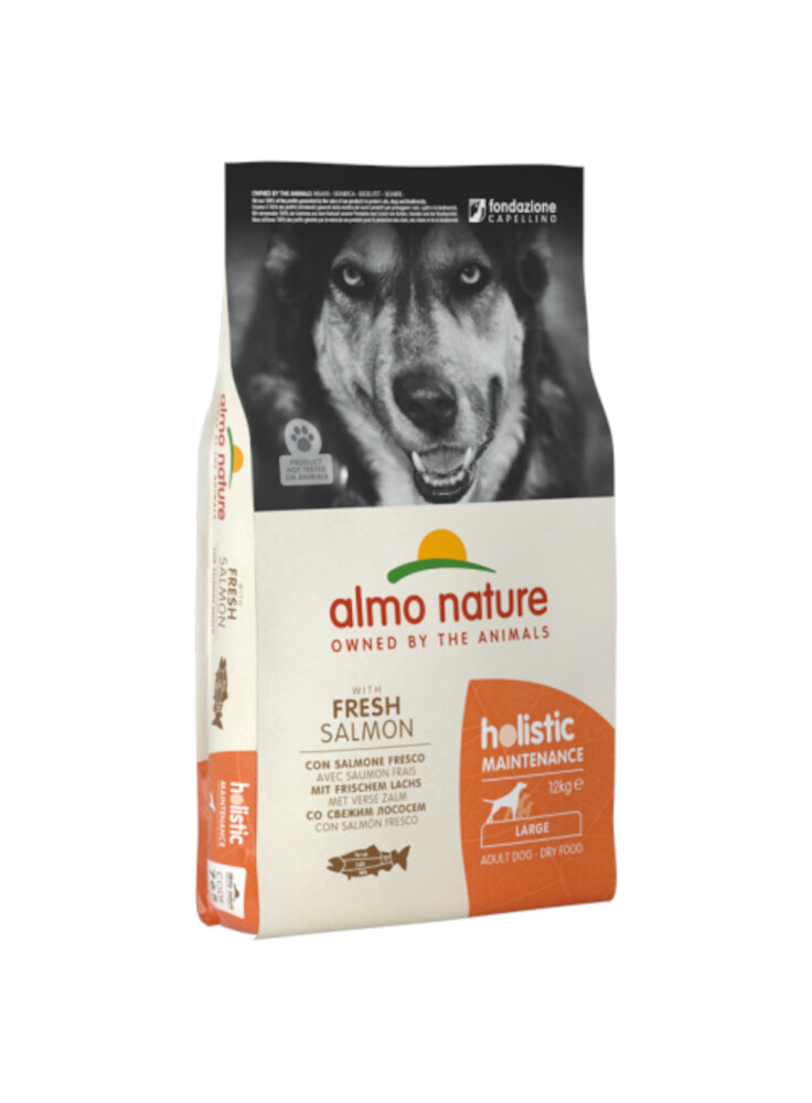 HOLISTIC DOG L Salmone e Riso 12 Kg (765)