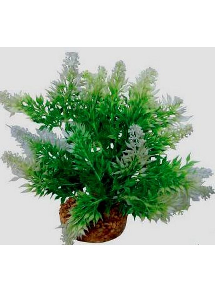 Pianta decorativa per acquario con base phytos 11 cm 18
