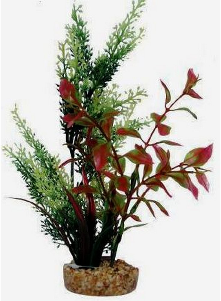 Pianta decorativa per acquario con base phytos 14 cm 25