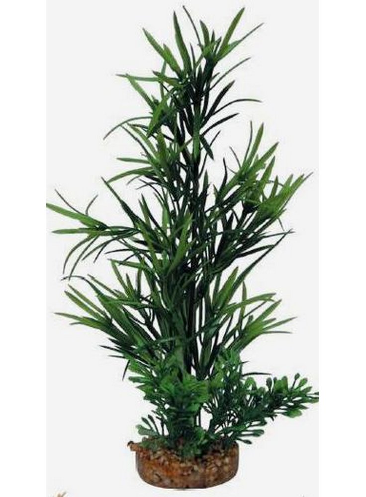 Pianta decorativa per acquario con base phytos 18 cm 25