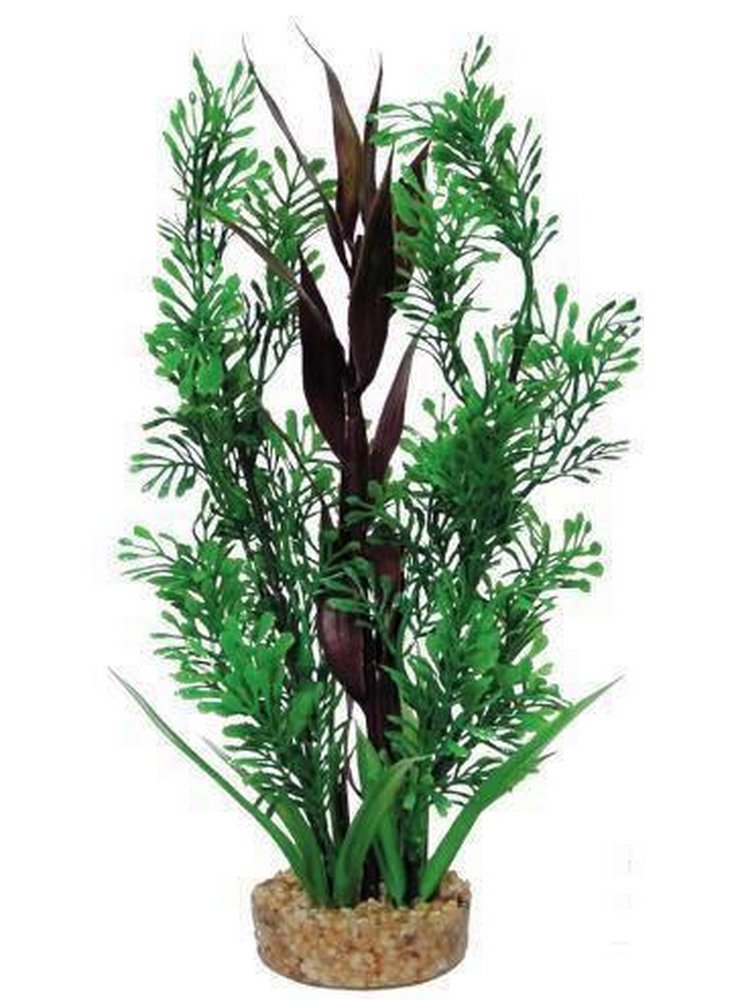 Pianta decorativa per acquario con base phytos 19 cm 25
