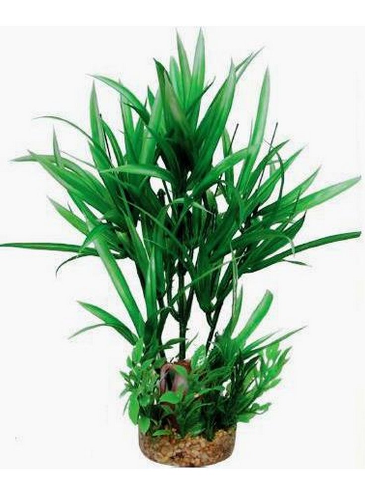 Pianta decorativa per acquario con base phytos 20 cm 24