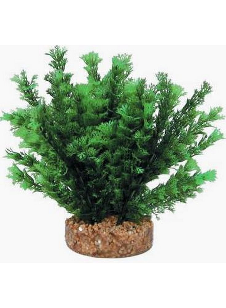 Pianta decorativa per acquario con base phytos 25 cm 20