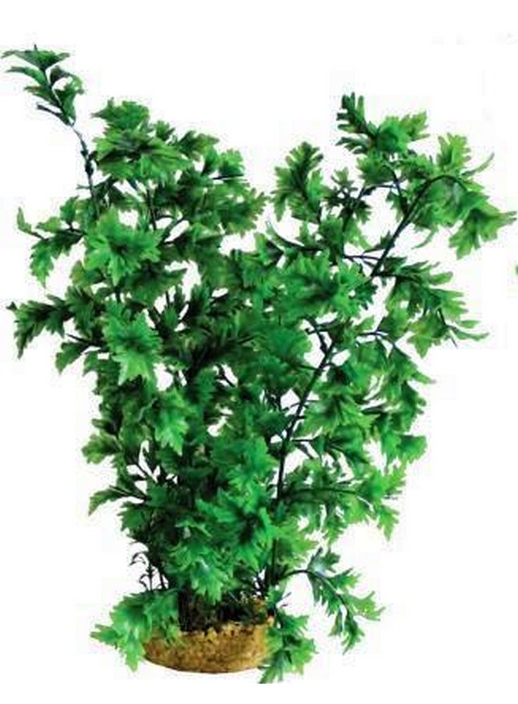 Pianta decorativa per acquario con base phytos 31 cm 22