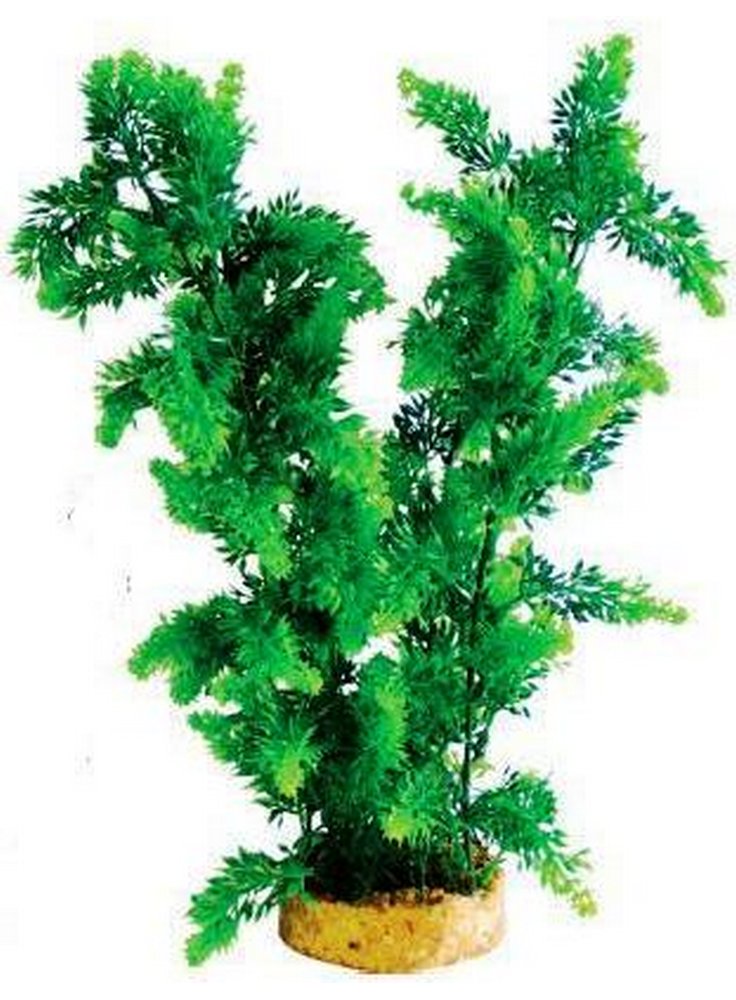 Pianta decorativa per acquario con base phytos 32 cm 22