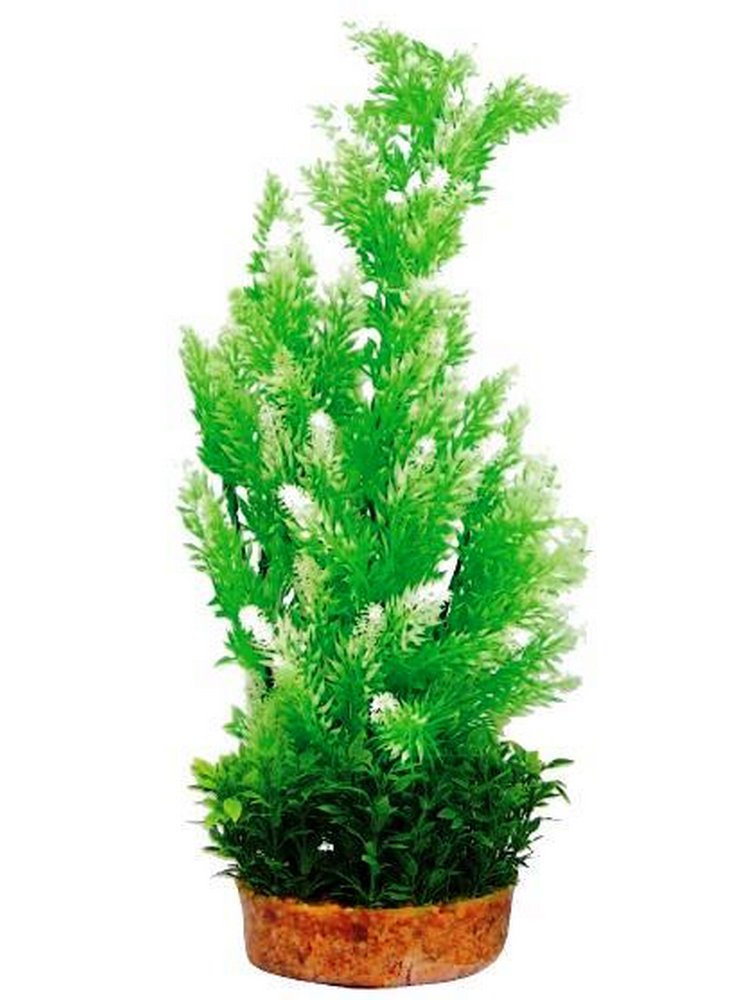 Pianta decorativa per acquario con base phytos 6 cm 38