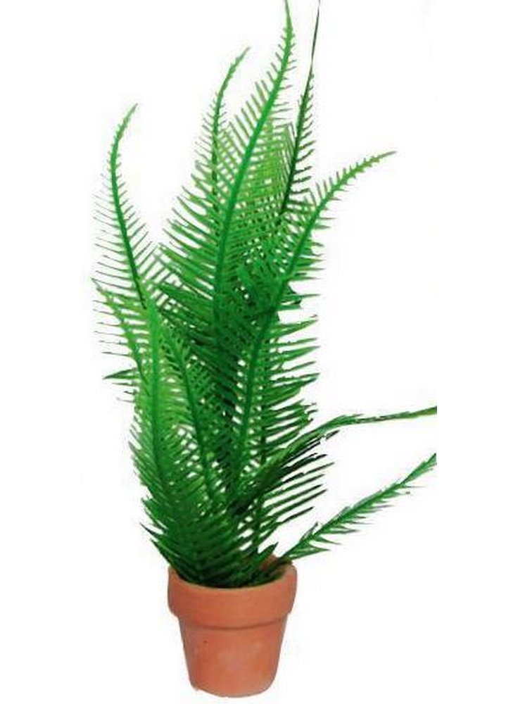 Pianta decorativa per acquario con vasetto phytos 8 cm 22