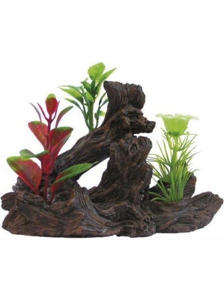 Pianta decorativa per acquari e terrari phytos lygnum 5