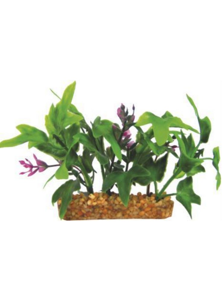 Pianta decorativa per acquario con base phytos 35 cm 9