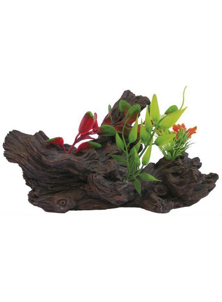 Pianta decorativa per acquari e terrari phytos lygnum 3